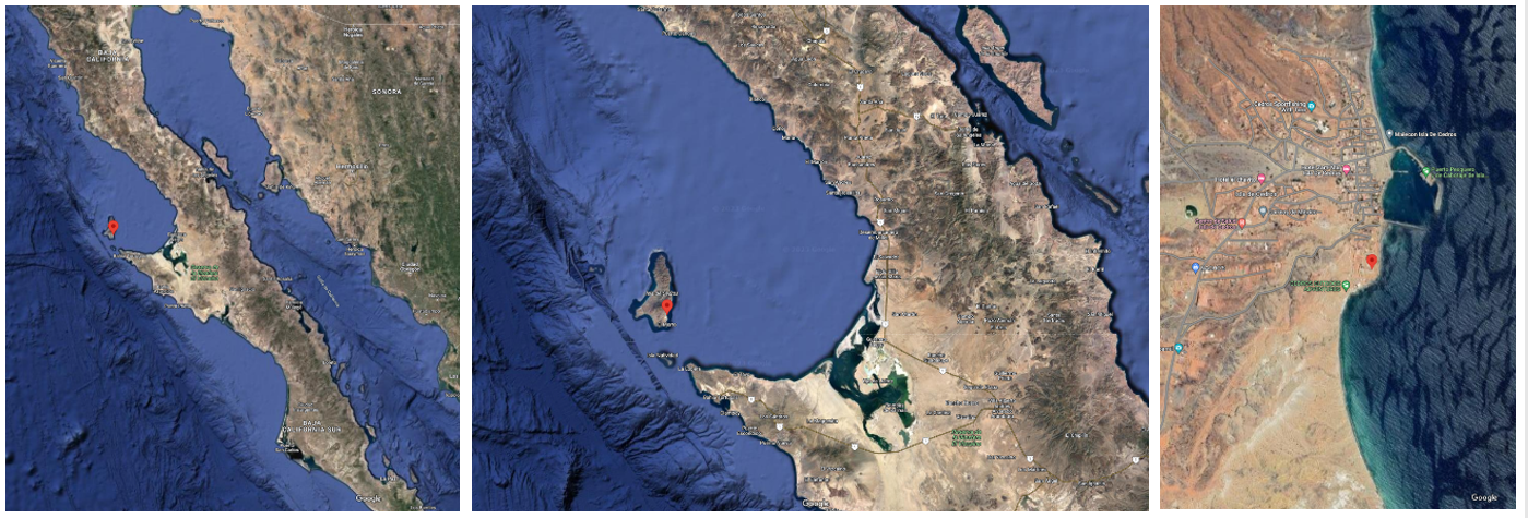 91 Ubicación de la Isla de Cedros.png Ubicación de la Isla de Cedros, justo a la mitad de la península Baja California. Imágenes satelitales de Google.