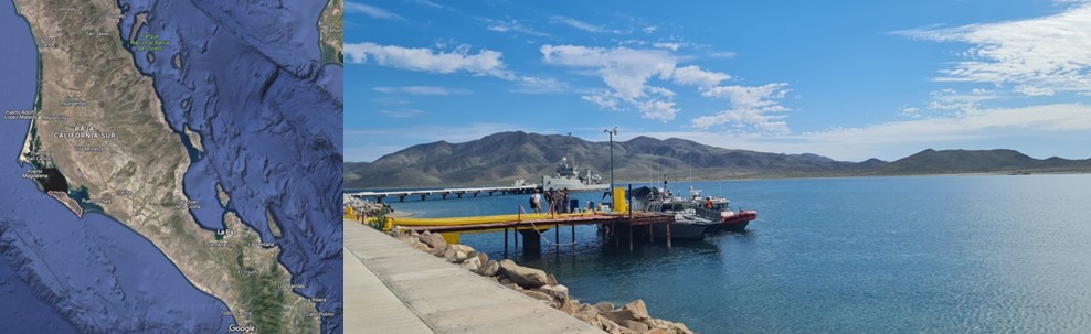 1 ISLA MARGARITA.jpg Isla Margarita tiene una longitud de 40 kilómetros y está ubicada en la costa del pacífico de Baja California Sur. Mapa recuperado de las imágenes satelitales de Google Maps.