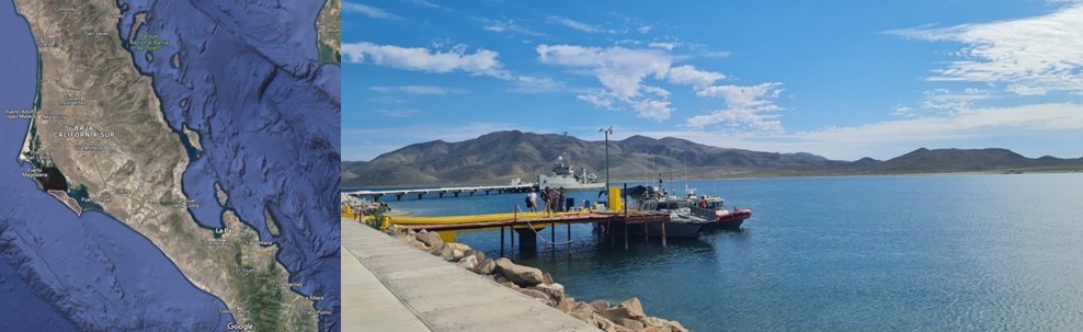 Isla Margarita tiene una longitud de 40 kilómetros y está ubicada en la costa del pacífico de Baja California Sur. Mapa recuperado de las imágenes satelitales de Google Maps.