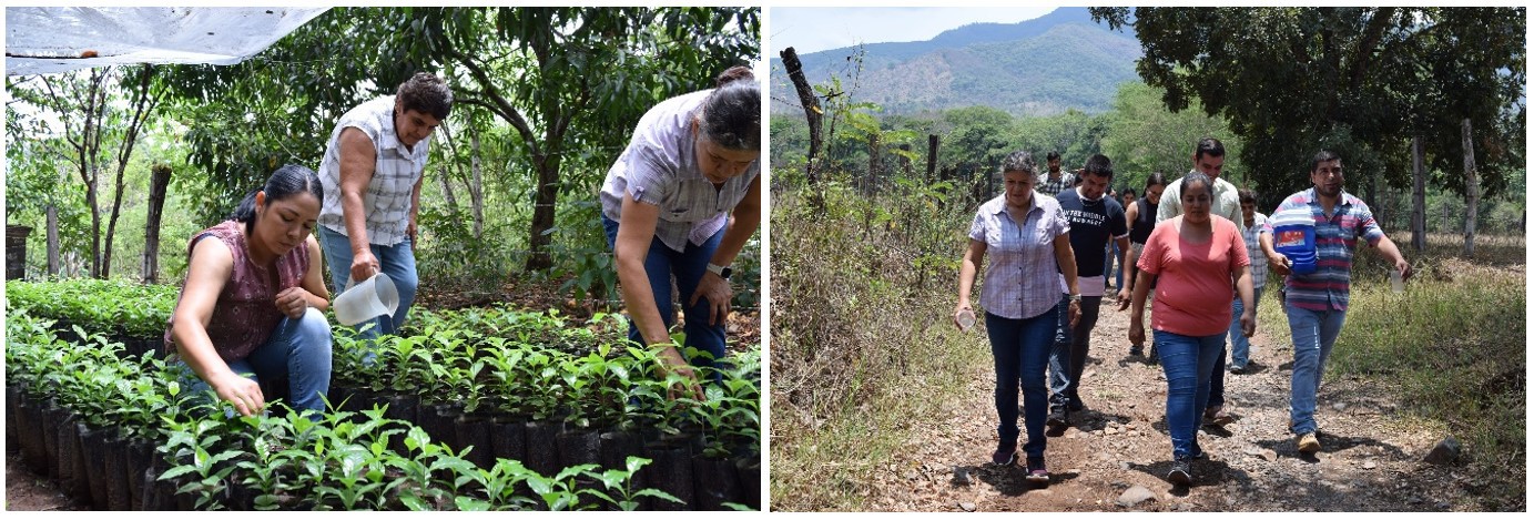 5 Las productoras de café artesanal de La Cuesta.jpg Las productoras de café artesanal de La Cuesta están comprometidas con el cuidado del medio ambiente.