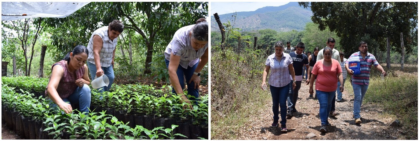 5 Las productoras de café artesanal de La Cuesta.jpg