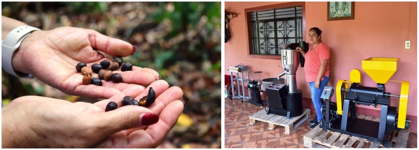 Mediante la producción de café, las mujeres de La Cuesta son parte activa de la economía local.