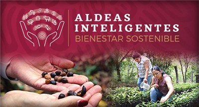 Con el apoyo de Aldeas Inteligentes, hoy las productoras de café artesanal de La Cuesta (Jalisco) tienen su propia página web y difunden sus productos a través de redes sociales.