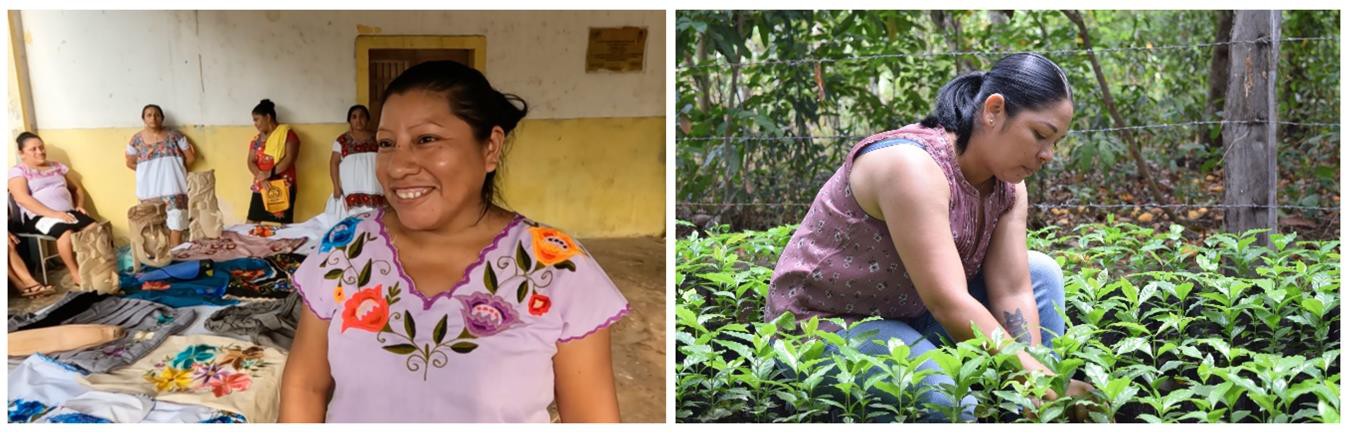 1 Los proyectos productivos de estas Aldeas Inteligentes.jpg Los proyectos productivos de estas Aldeas Inteligentes son gestionados por mujeres de las comunidad.