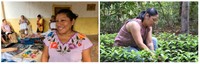 1 Los proyectos productivos de estas Aldeas Inteligentes.jpg
