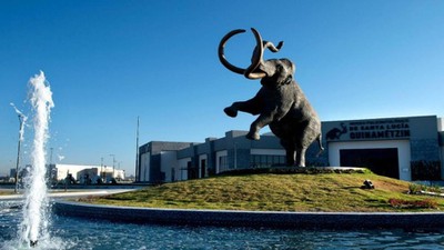 Tres atractivos museos de variada temática: aviones, mamuts y ferrocarriles abrieron sus puertas en 2022 como una actividad cultural cercana al Aeropuerto Internacional Felipe Ángeles.