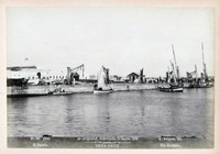 bma01.jpg