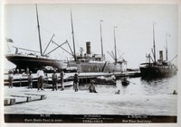 bma02.jpg