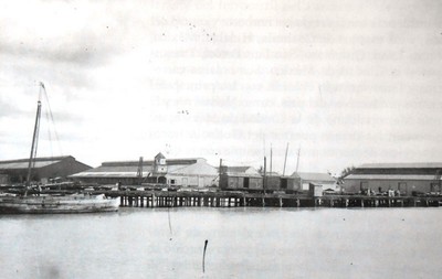Los puertos de Veracruz, Altamira, Manzanillo y Lázaro Cárdenas destacan sobremanera por sus instalaciones, capacidad de almacenamiento y carga diversa.