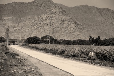 Más del mil millones de pesos fueron destinados a la Secretaría de Obras Públicas para realizar sus múltiples obras de infraestructura.