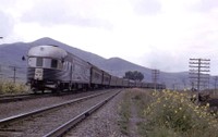 Tren “El Tapatío” y su taca taca taca
