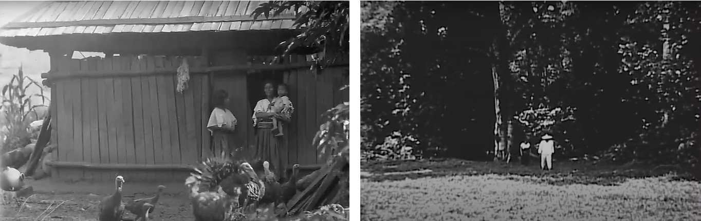Entre “chamulas silenciosos y furtivos” cobró conciencia de que “era blanca e hija de un hacendado”. La sola idea, la hizo solidarizarse con los desposeídos. Foto recuperada de: Documental El hilo feminista.