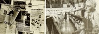 6Luchar contra el sexismo y la división.jpg