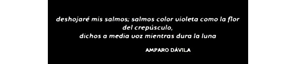6 CITA 02 -AMPARO DAVILA.jpeg Salmos color violeta