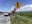 sealizacion-vial-4-scaled.jpg