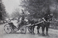 VOZ DE LA HISTORIA DE NUESTRO TRANSPORTE