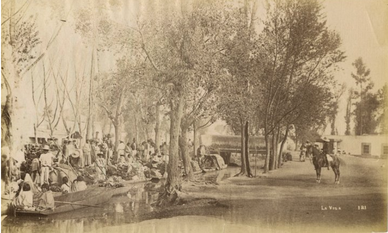 Canoas o trajineras cargadas con flores y legumbres.png Canoas o trajineras cargadas con flores y legumbres para su venta en la Ciudad de México. Reproducción autorizada por el INAH.