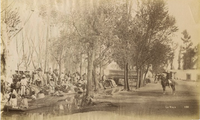 Canoas o trajineras cargadas con flores y legumbres.png