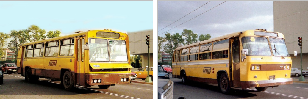 Vitrinas y delfines convertidos en autobuses de la Ruta 100.png