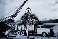 MEJORAS EN LAS CONCESIONES Y TARIFAS DEL AUTOTRANSPORTE  1958-1964