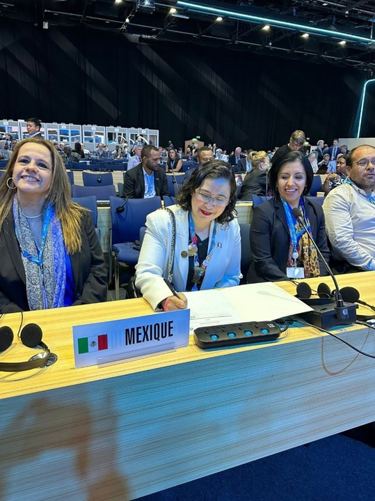 4 Catalina de Ovando.jpg Ing. Catalina de Ovando (centro) representando a México en un foro internacional de telecomunicaciones. SICT